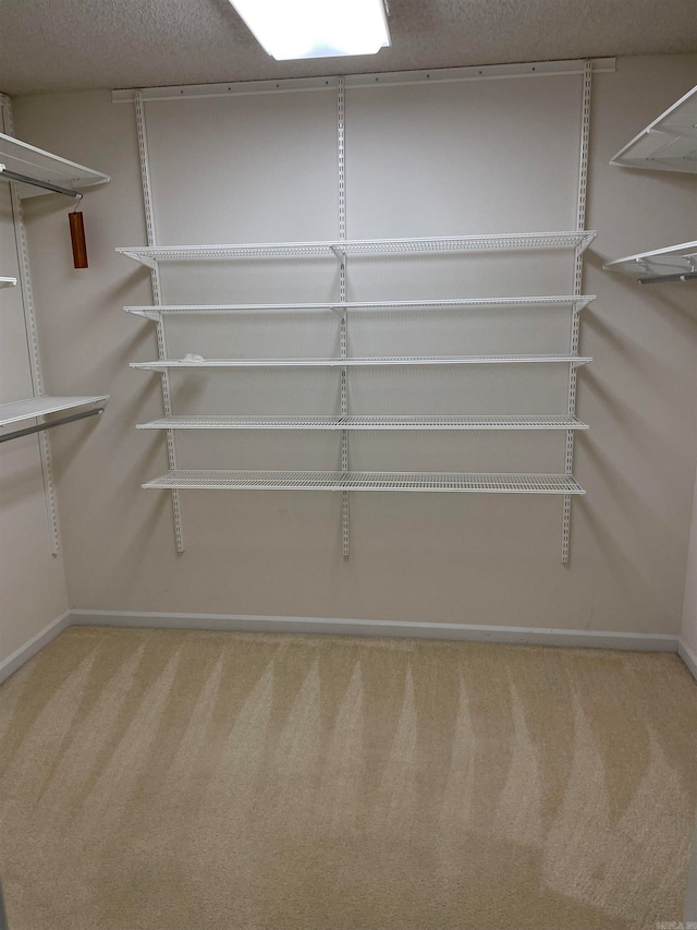 walk in closet with carpet