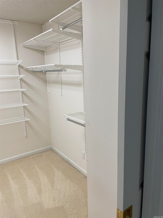 spacious closet with carpet