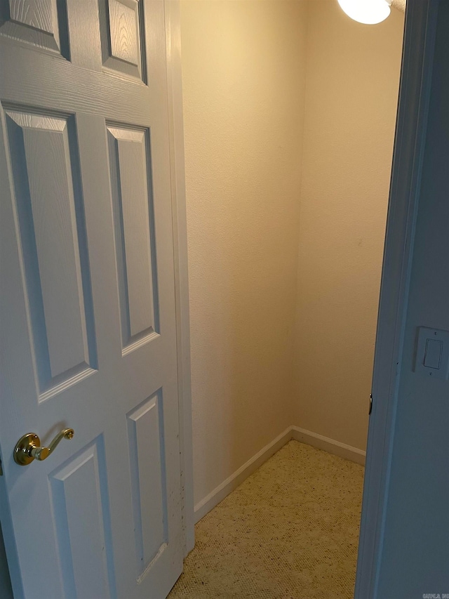 interior space with carpet floors