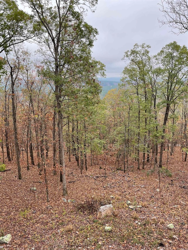 view of local wilderness