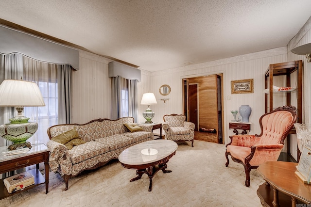 living room with a textured ceiling and light carpet