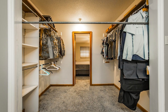 spacious closet with carpet flooring