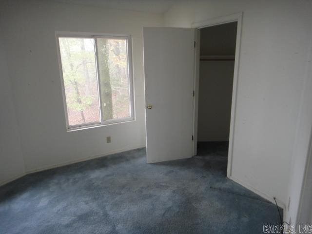 85 Bluff View Dr, Quitman, AR 72131 - unfurnished bedroom with carpet flooring, a spacious closet, and a closet