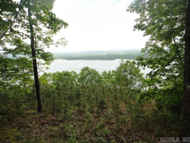 85 Bluff View Dr, Quitman, AR 72131 - water view