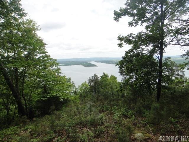 85 Bluff View Dr, Quitman, AR 72131 - water view