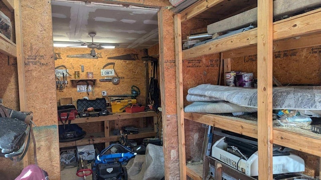 storage room with ceiling fan