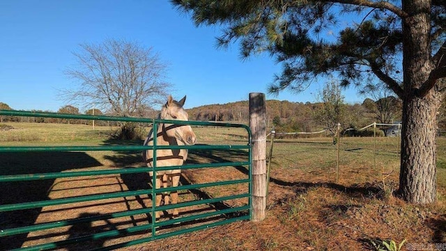 view of gate featuring a rural view