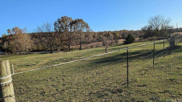 view of yard featuring a rural view