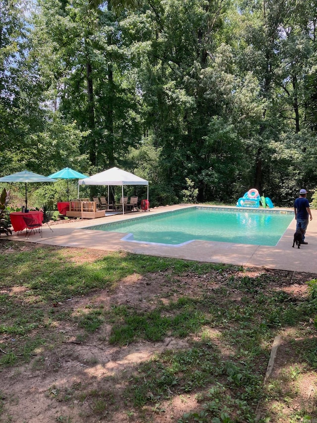 view of swimming pool with a patio