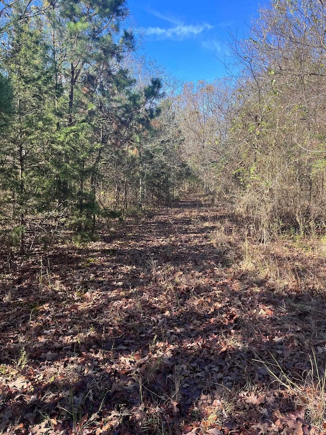 TBD Geyer Dr, Mena AR, 71953 land for sale