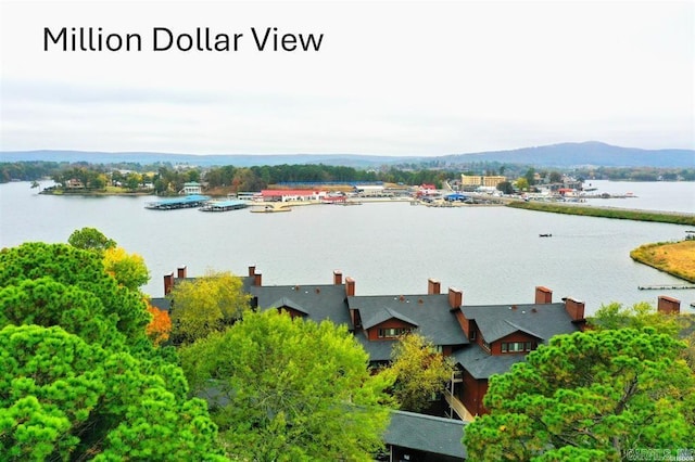 birds eye view of property with a water and mountain view