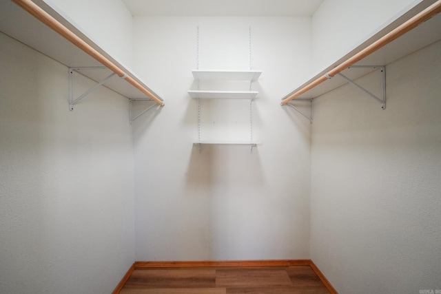 spacious closet featuring wood-type flooring