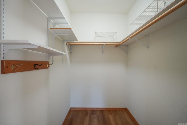 spacious closet with wood-type flooring