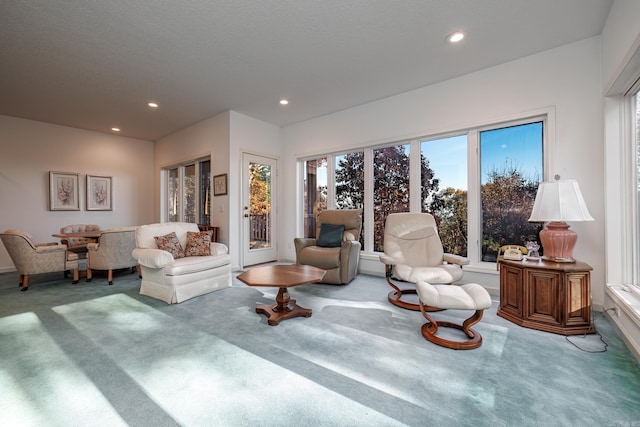 living room featuring carpet floors