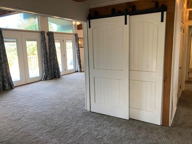 interior space featuring a barn door, access to exterior, and carpet