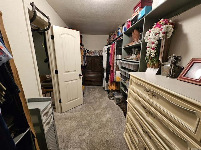 spacious closet featuring carpet floors