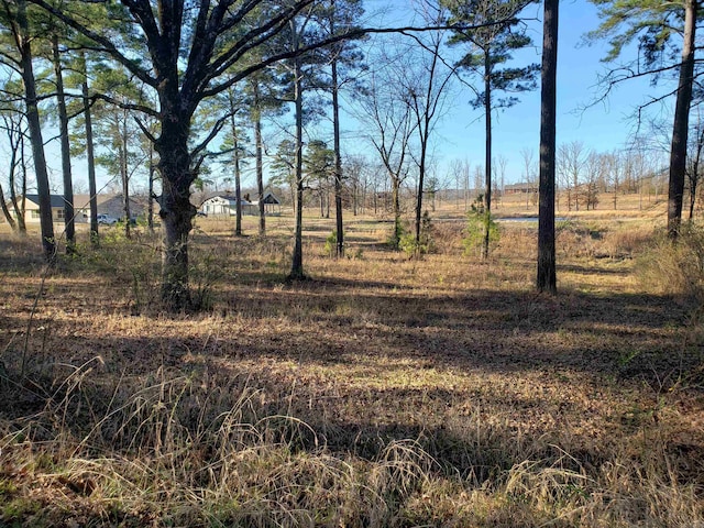 view of landscape with a rural view