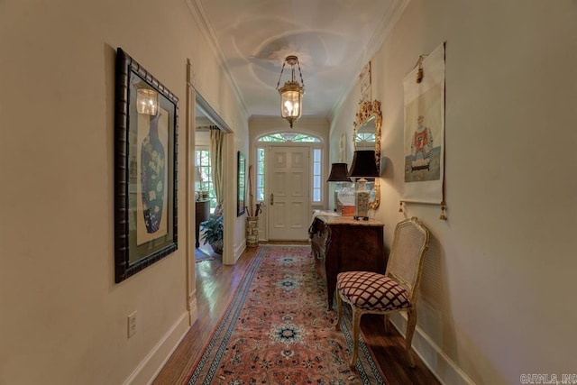 doorway with hardwood / wood-style floors and ornamental molding