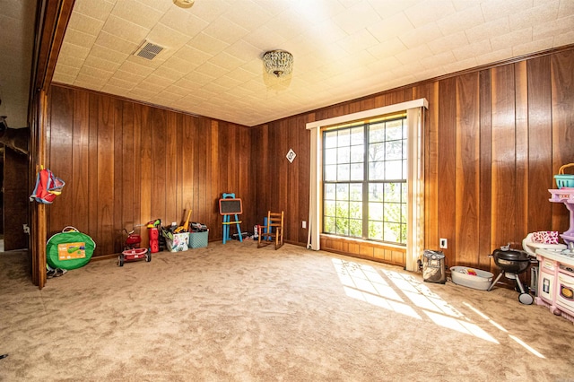 misc room with wood walls and carpet floors