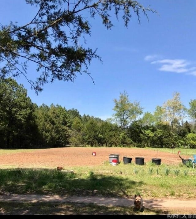 view of yard with a rural view