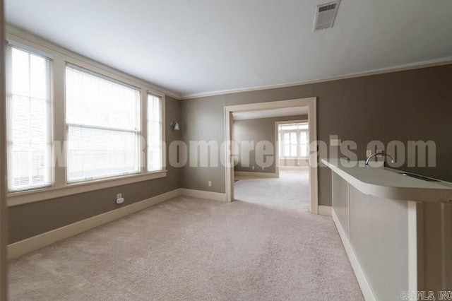 carpeted empty room with crown molding