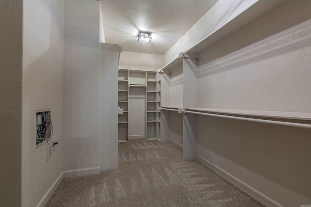 spacious closet featuring carpet flooring