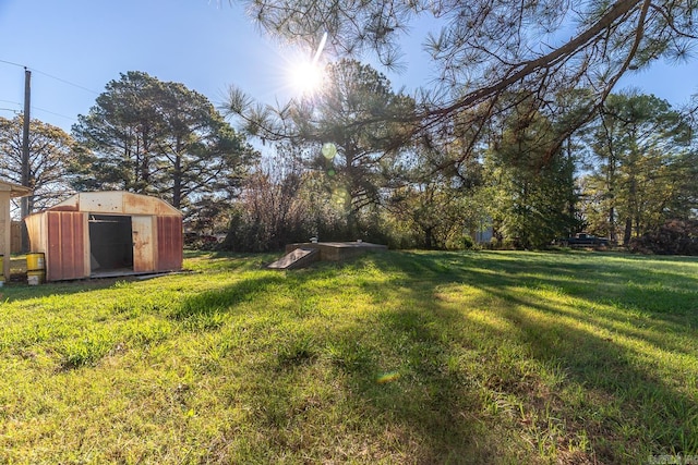 view of yard with a storage shed