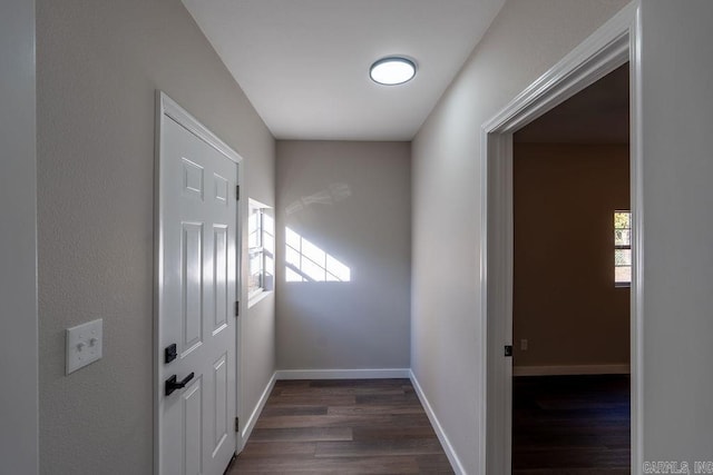 hall featuring dark wood-type flooring