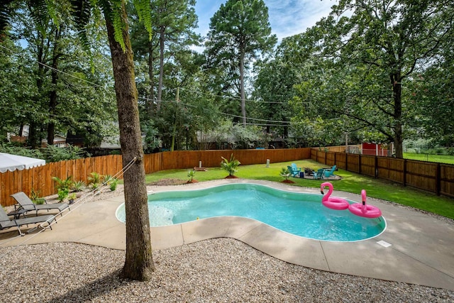 view of pool featuring a yard and a patio area