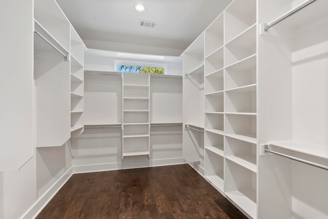 spacious closet with dark wood-type flooring