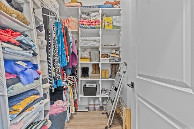 spacious closet with light wood-type flooring