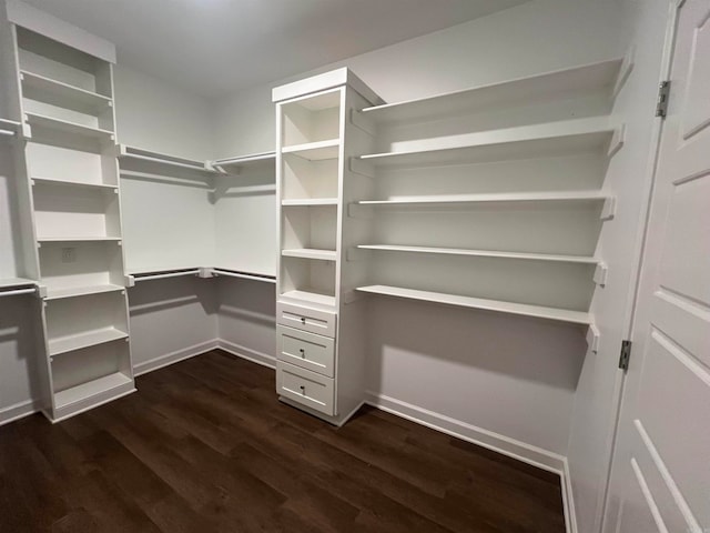 walk in closet with dark wood-type flooring