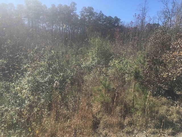 TBD Bradshaw Ln, Norman, AR 71960