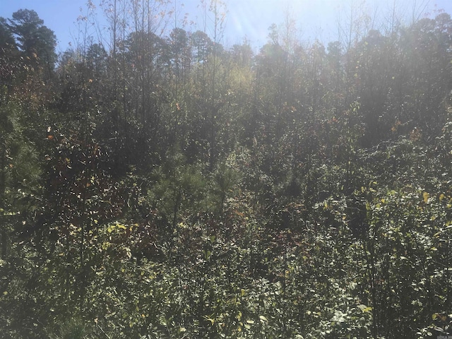 TBD Bradshaw Ln, Norman, AR 71960
