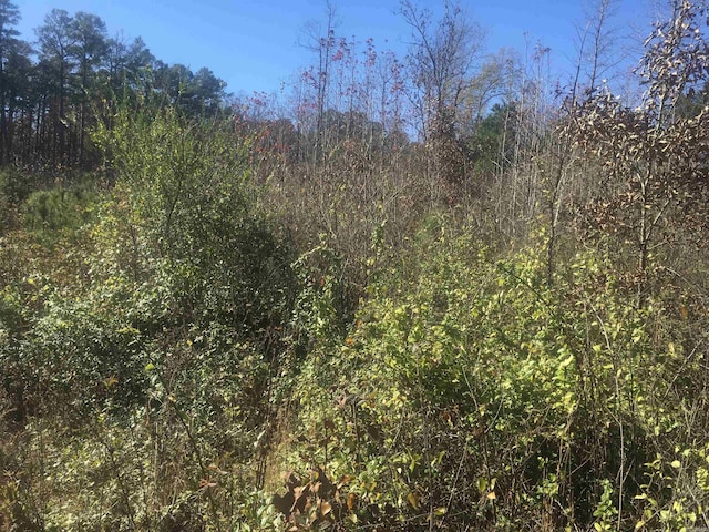TBD Bradshaw Ln, Norman, AR 71960