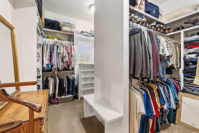 spacious closet featuring carpet flooring