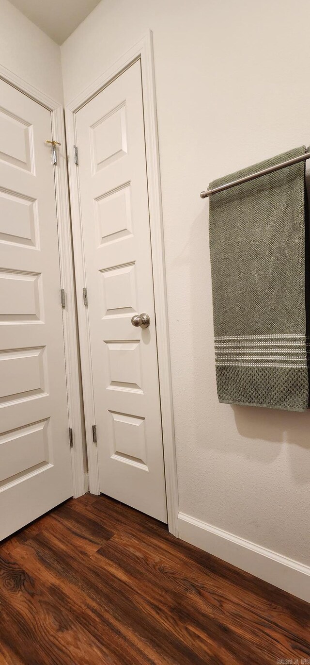 entryway featuring dark wood-type flooring