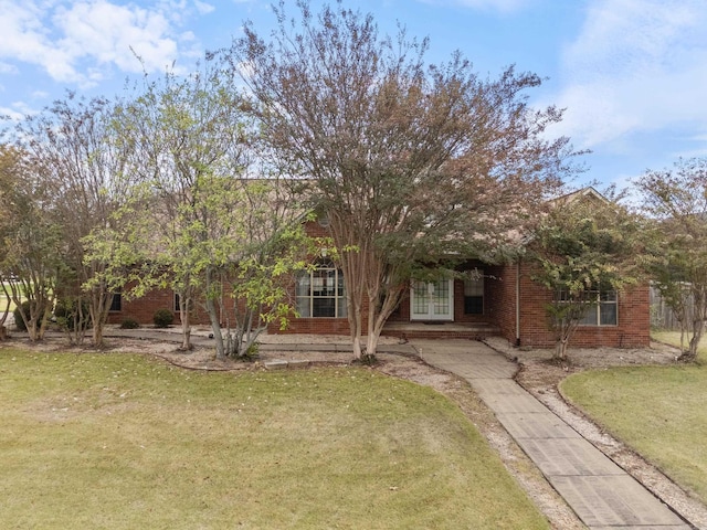 view of property hidden behind natural elements featuring a front yard