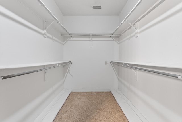 spacious closet featuring carpet