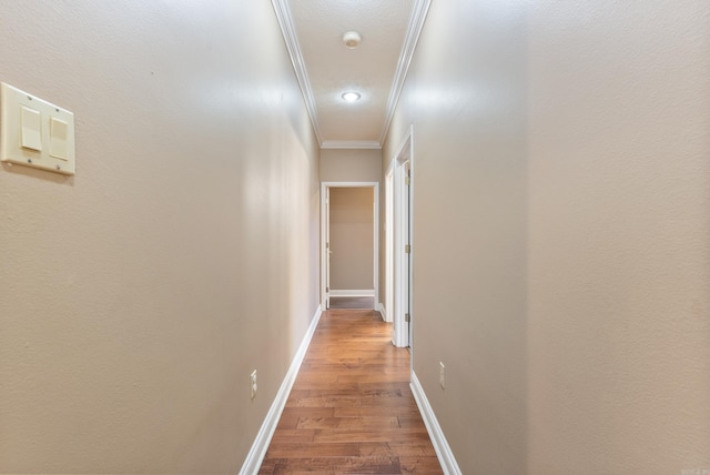 hall featuring hardwood / wood-style flooring and ornamental molding