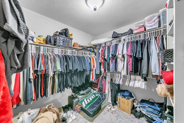 walk in closet featuring carpet flooring