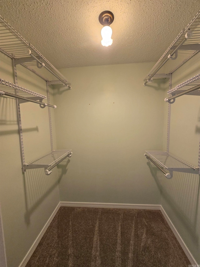 spacious closet featuring carpet flooring