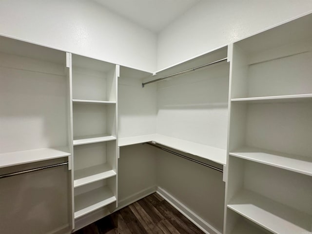 spacious closet featuring dark hardwood / wood-style flooring