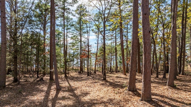 view of local wilderness