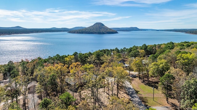 drone / aerial view featuring a water and mountain view