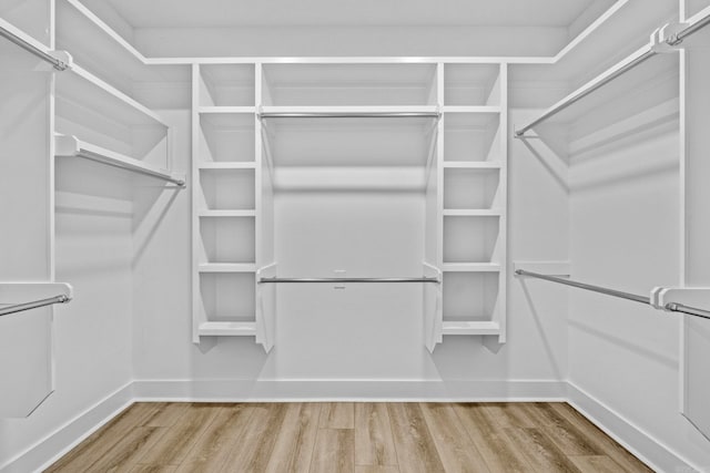 spacious closet with hardwood / wood-style floors