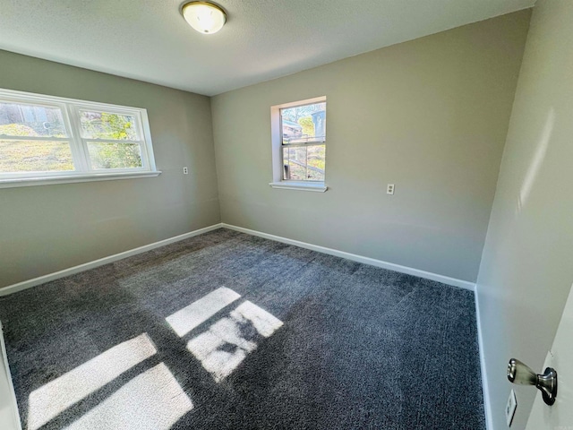 spare room featuring carpet floors