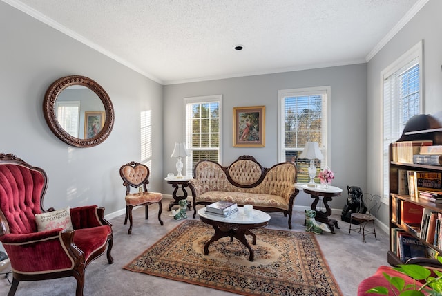 sitting room featuring light colored carpet, a textured ceiling, and a wealth of natural light