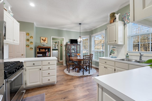 kitchen featuring white cabinets, sink, wood-type flooring, and stainless steel appliances