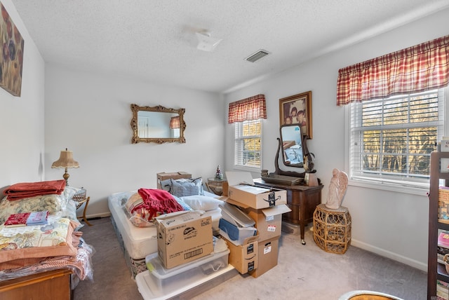 sitting room featuring light carpet, plenty of natural light, and a textured ceiling